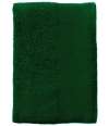 89200 Island 30 SOL'S Island 30 Guest Towel Bottle Green colour image